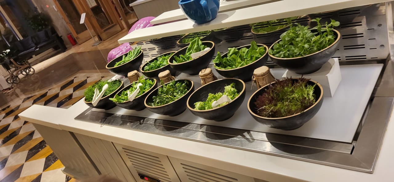 Gastro Sentido Trendy Verbena Beach