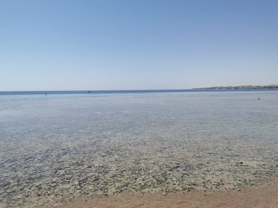 Strand Makadi Spa - Adults only