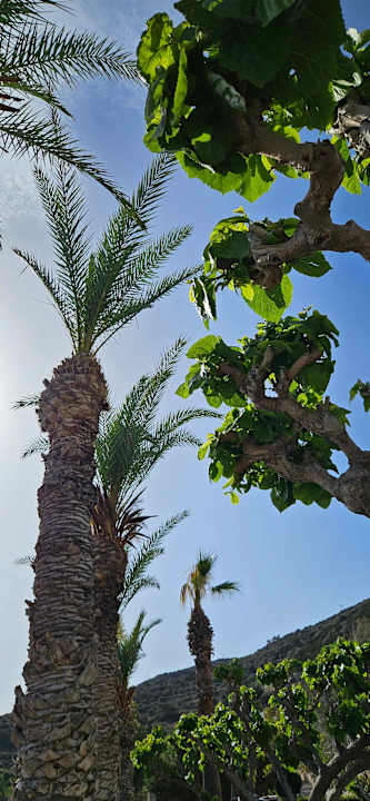 Strand Hotel Istron Bay