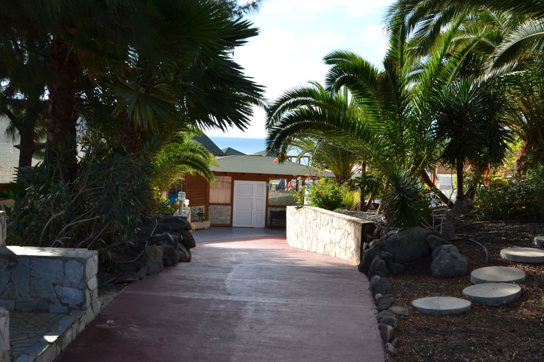 Gartenanlage Marina Playa Suite Hotel