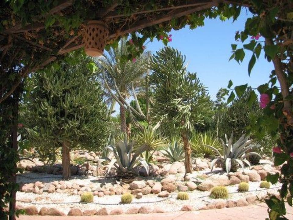 Ogród Hotel Nubian Village