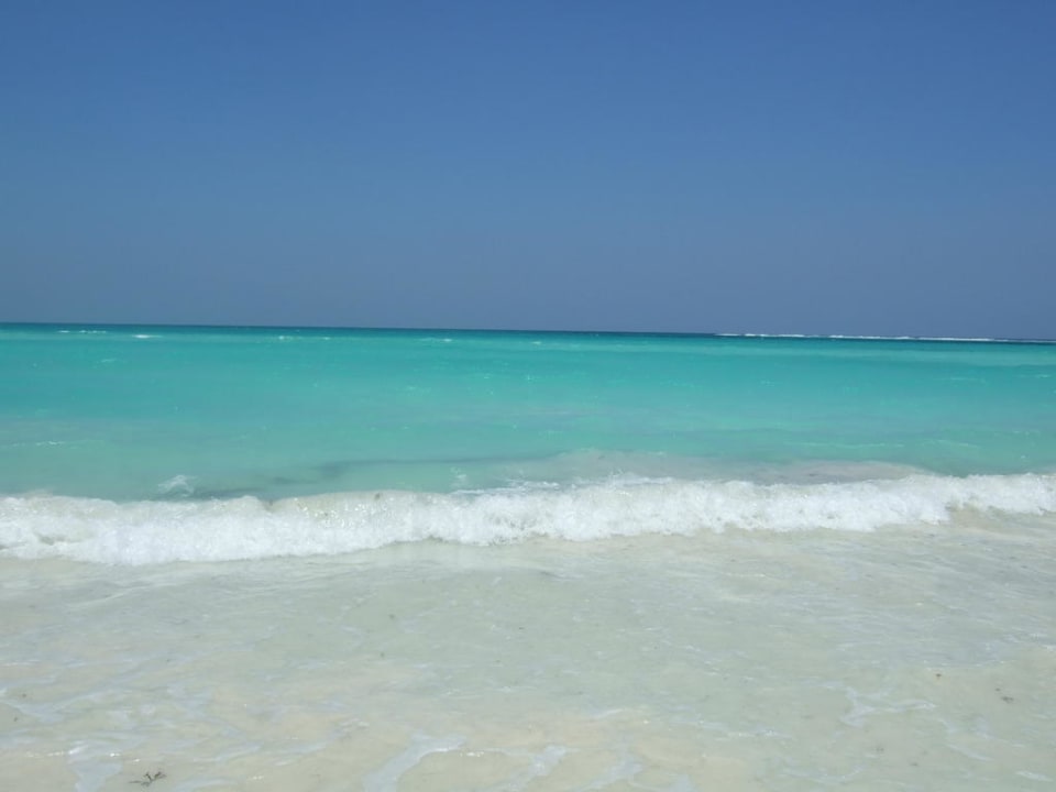 Blick aufs Meer Catalonia Playa Maroma