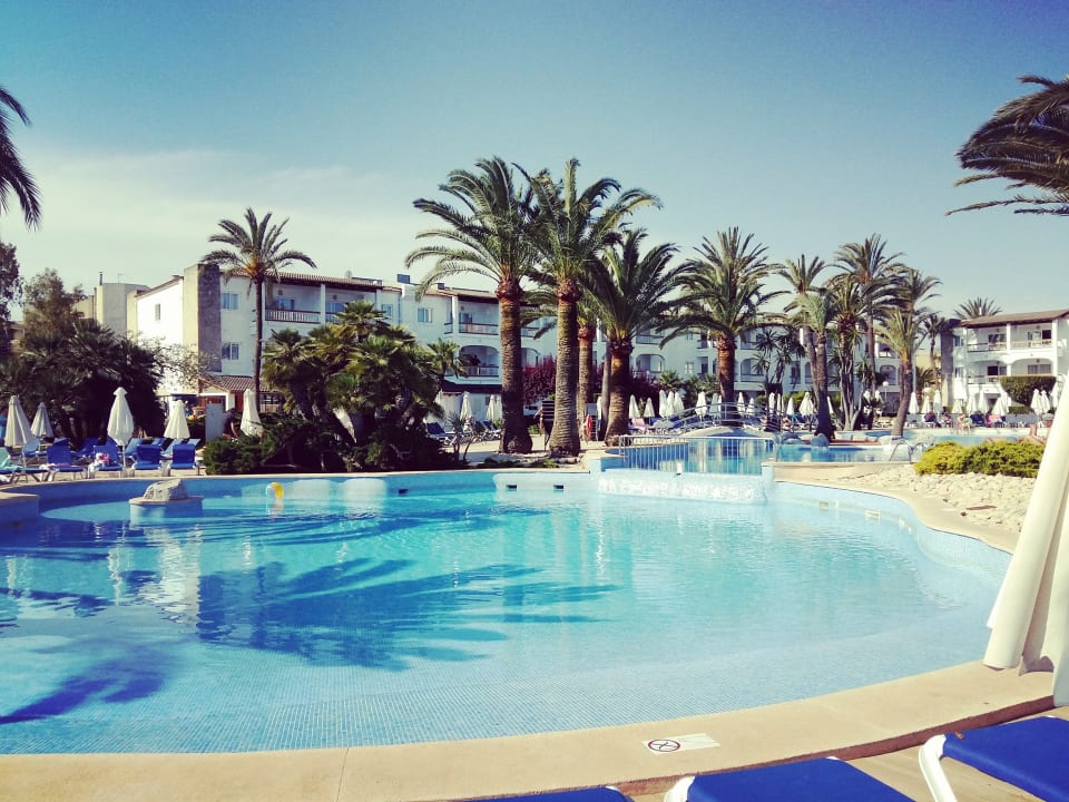 Pool Alcudia Garden Aparthotel
