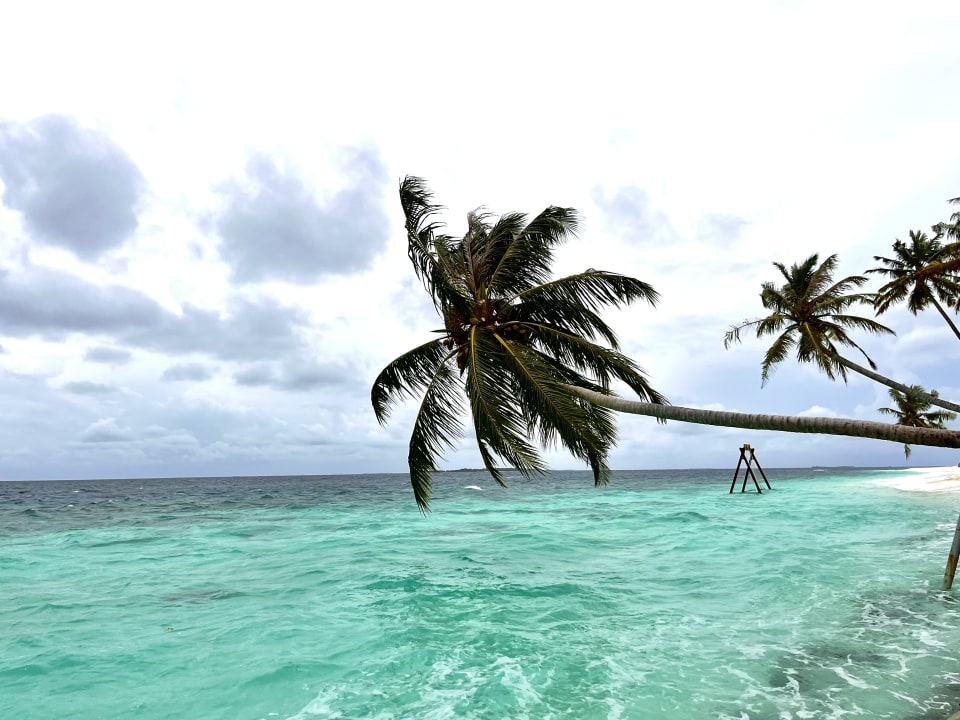 Ausblick Reethi Faru Resort