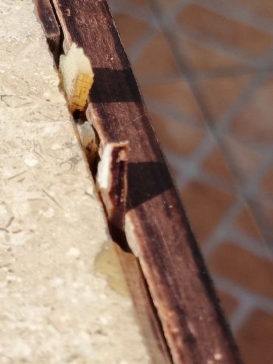 Sonstiges Stella Beach Resort & Spa Makadi Bay