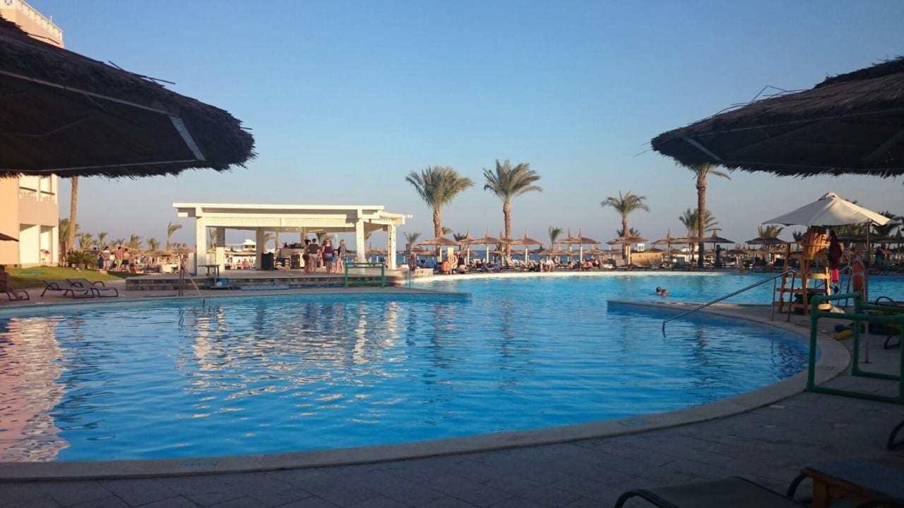 Hauptpool mit Animation Beach Albatros Resort