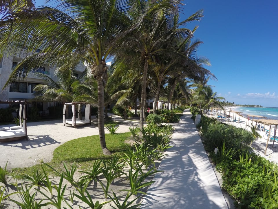 Strand Akumal Bay Beach & Wellness Resort