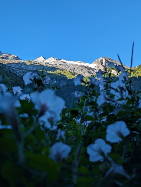 Ausblick Hotel Klausnerhof