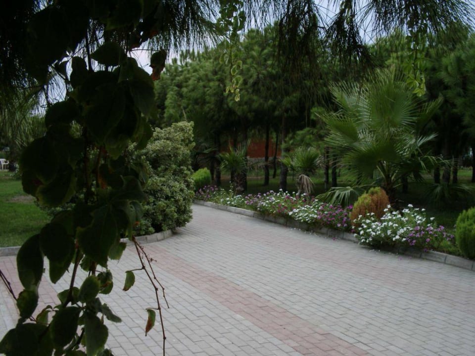 Blick von der Poolbar auf die schöne Parkanlage Club Turtas Beach Hotel