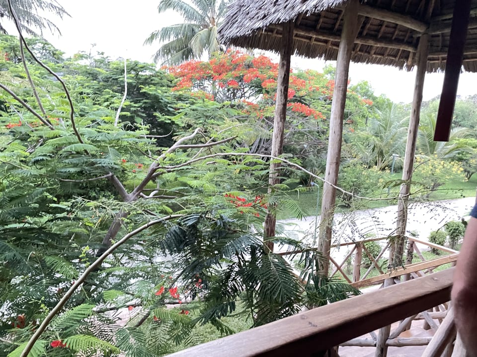 Gartenanlage Neptune Pwani Beach Resort & Spa