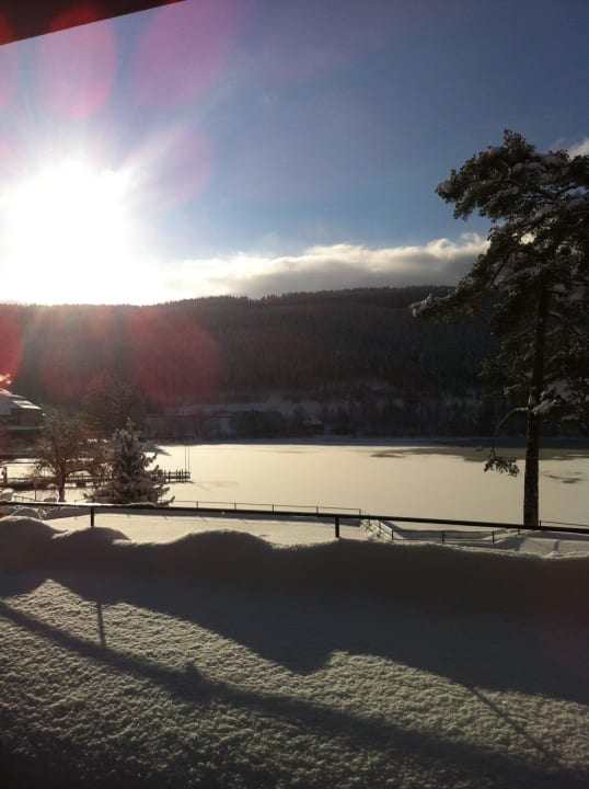 Blick auf den See  Treschers Schwarzwald Hotel