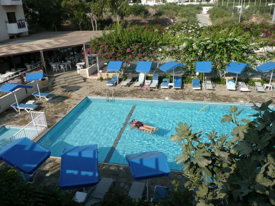 Pool von oben Hotel Harry's