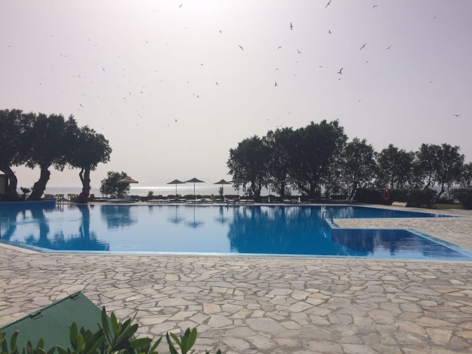 Pool Atlantica Beach Resort Kos
