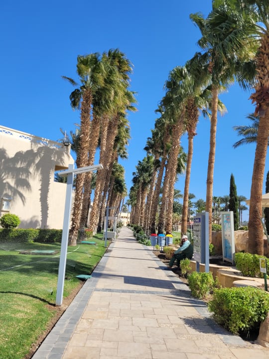 Gartenanlage Pickalbatros Aqua Blu Resort - Hurghada