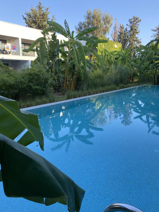 Zimmer Paloma Finesse