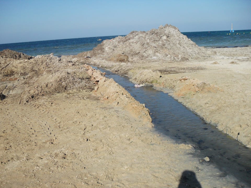 Egout plage Hotel Sangho Club Zarzis