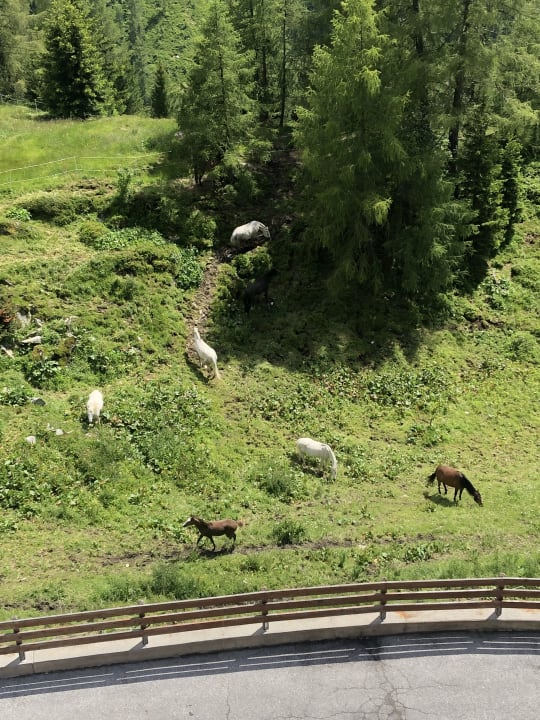 Ausblick Berghotel & Gasthof Marlstein