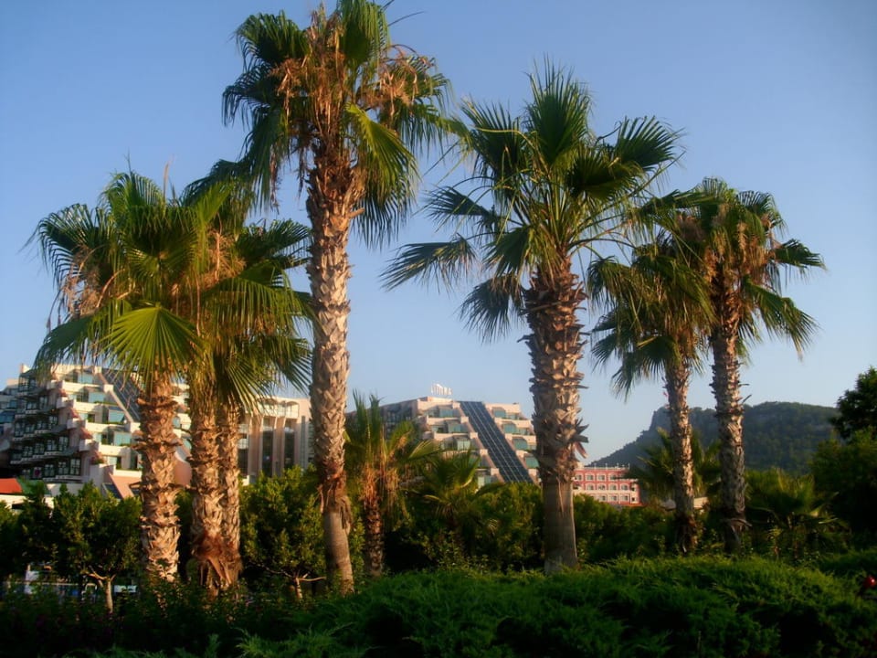 Guten Morgen Limak Limra Limak Limra Hotel & Resort