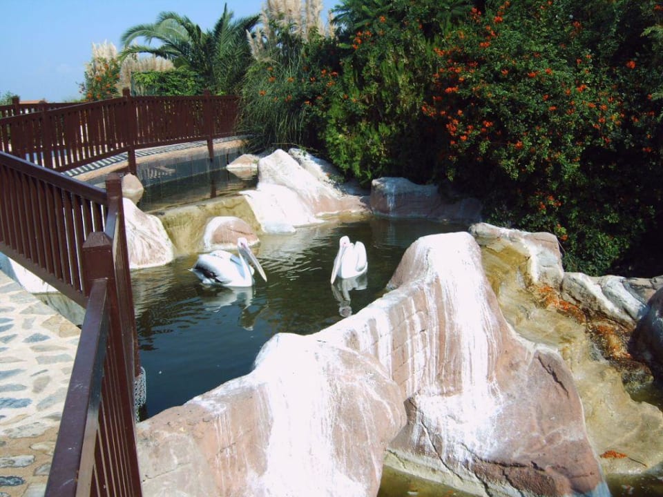 Der Hoteleigene  Zoo Alba Resort Hotel