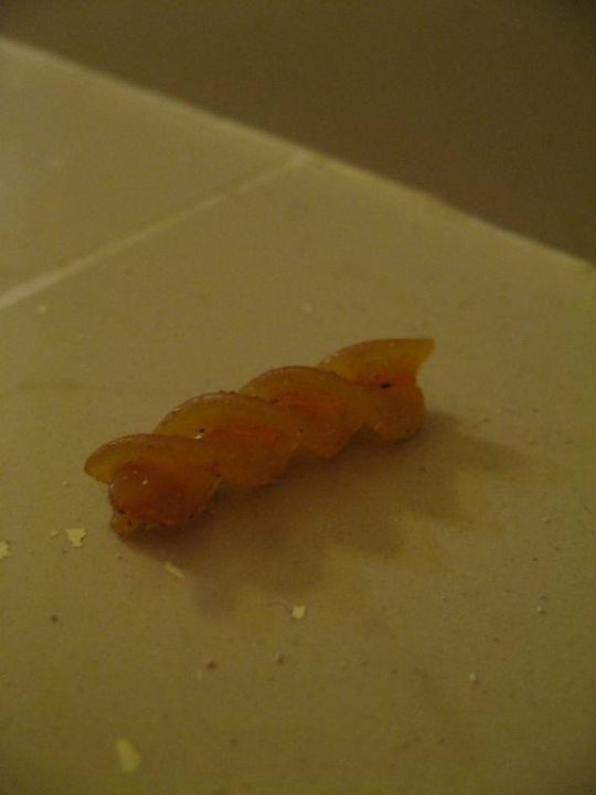 Unsere Junio-Suite im Haus Nr. 11 (unten links) Grand Palladium Select Bávaro Resort & Spa