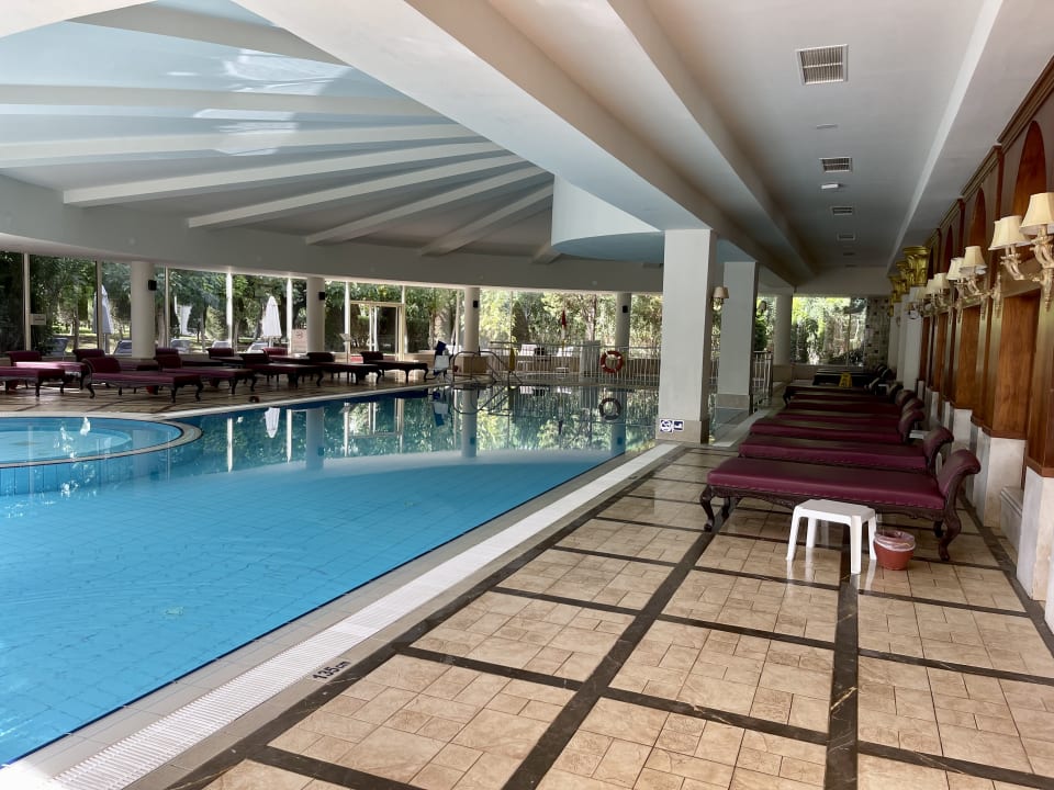 Pool Hotel Delphin Diva