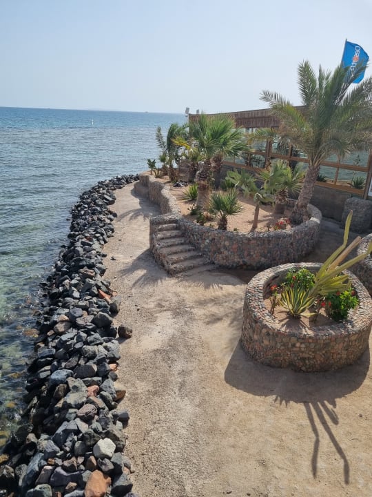 Ausblick Desert Rose