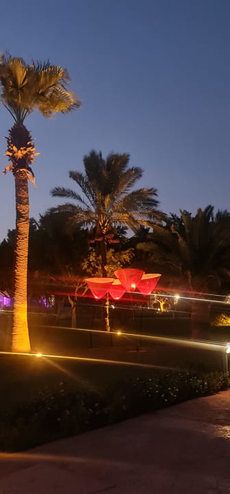 Gartenanlage Desert Rose