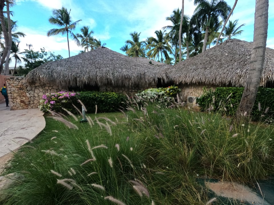 Gartenanlage Hotel Viva Dominicus Beach by Wyndham - All Inclusive Resort