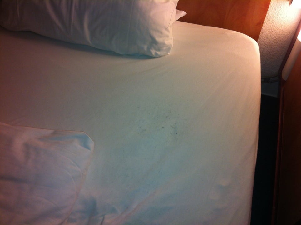 Sauberes Bett? Hotel City Inn Magdeburg