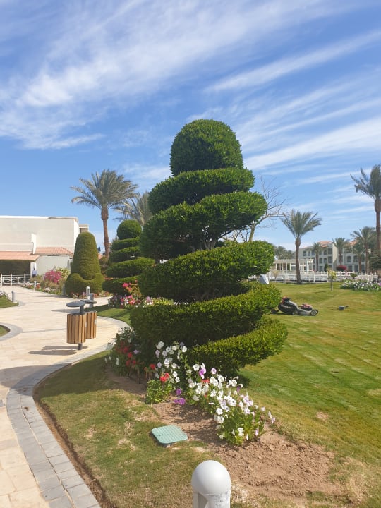 Gartenanlage Pickalbatros Dana Beach Resort - Hurghada