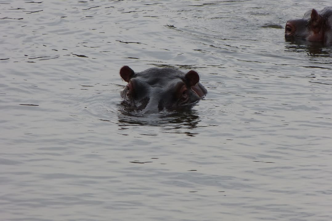 Sonstiges Aruba-Mara Camp