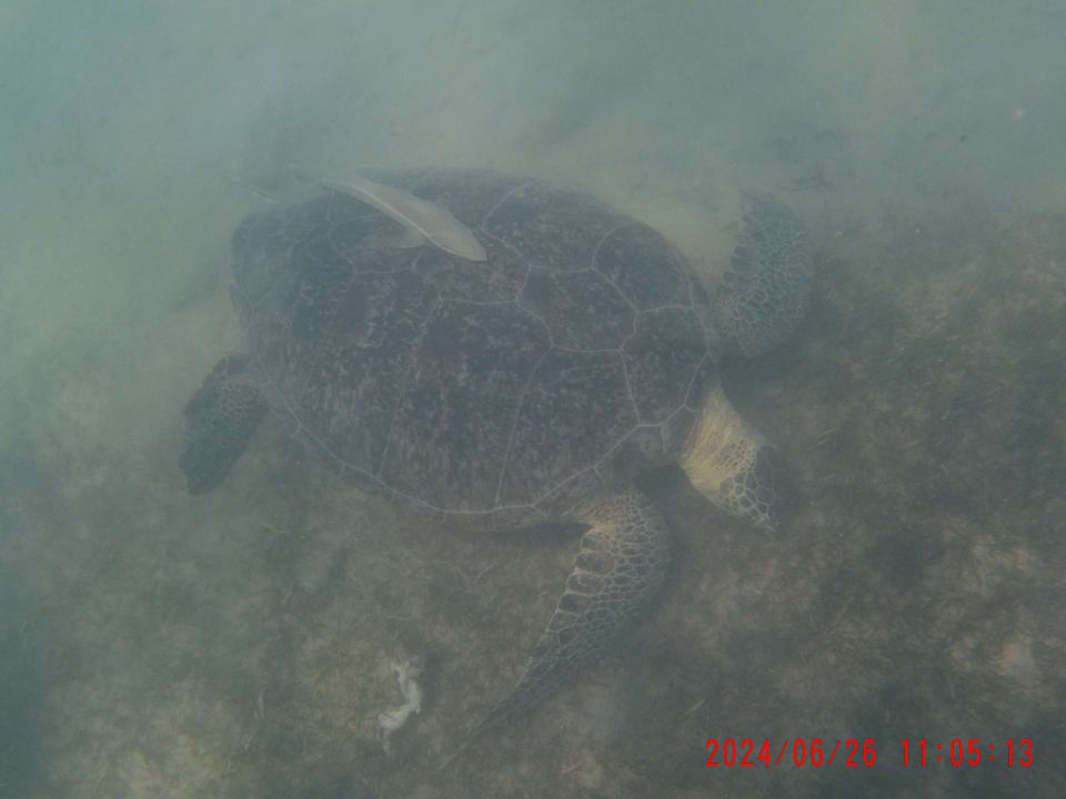 Sport & Freizeit Imperial Shams Abu Soma