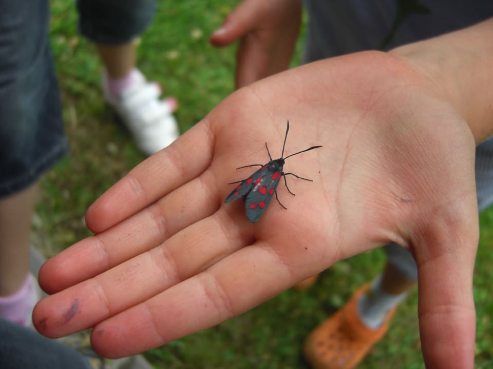 Sonstiges Nigglerhof