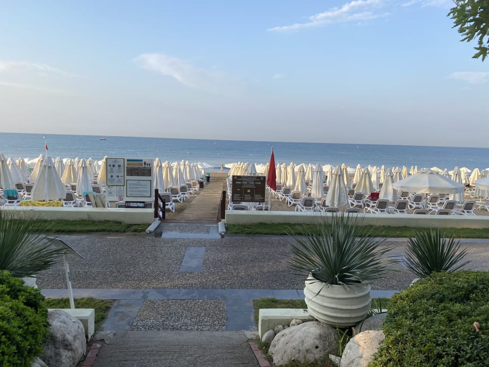 Strand Side Star Elegance