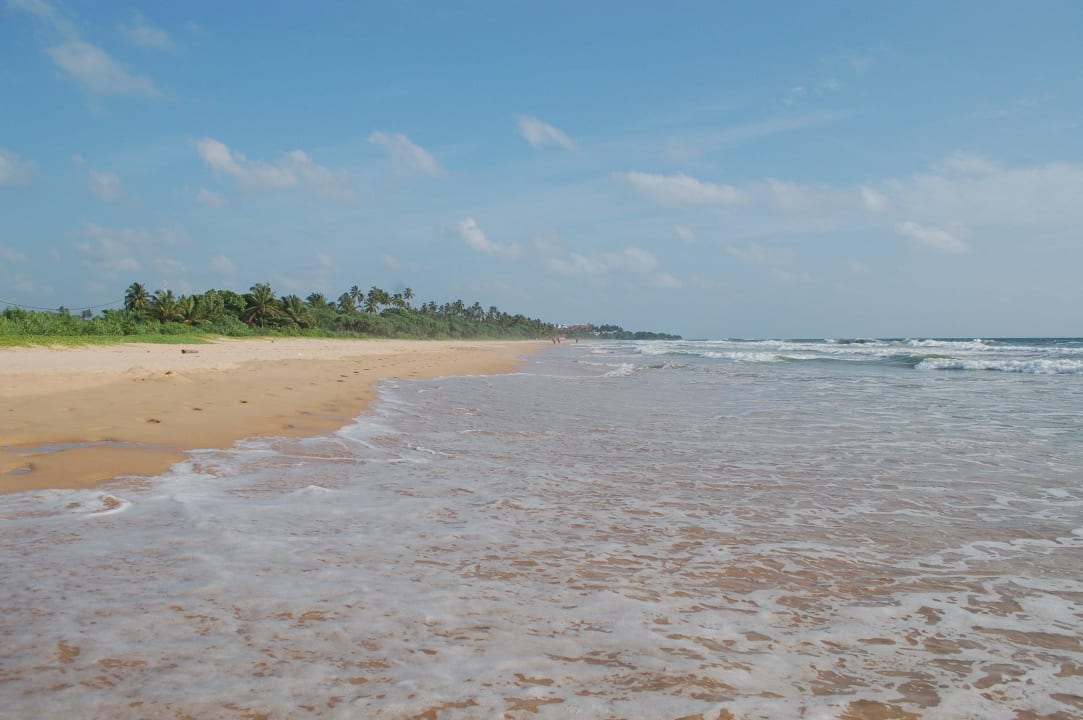 Strand Thaala Bentota