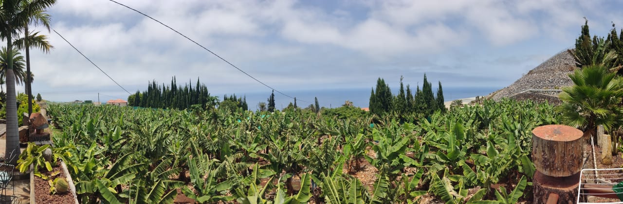 Außenansicht Villa Nerea with air conditioning & private swimming pool only 400m to the beach ideal for families