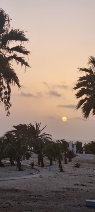 Gartenanlage Hotel Riu Karamboa