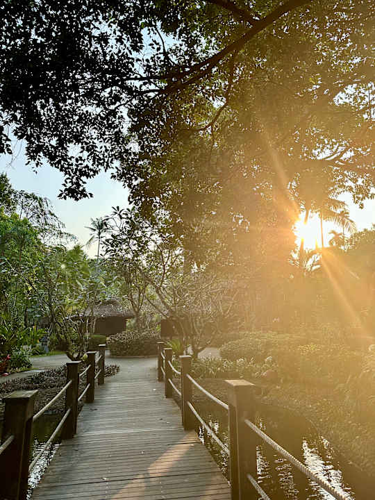 Gartenanlage Centara Koh Chang Tropicana Resort