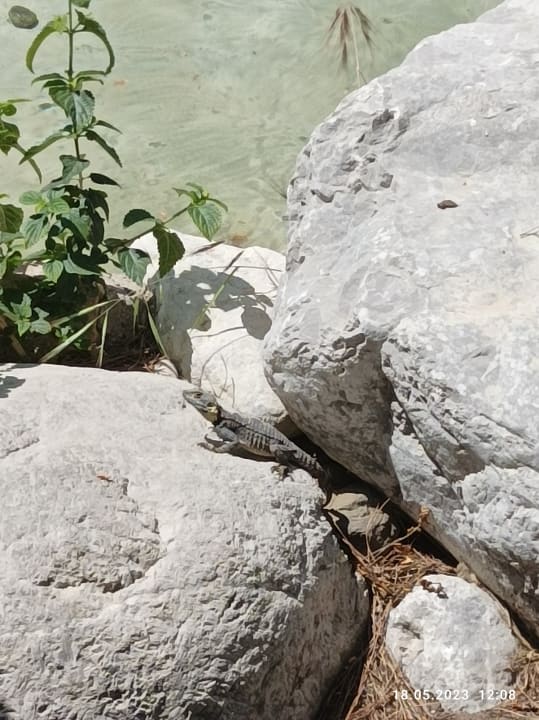 Gartenanlage Asteria Family Belek