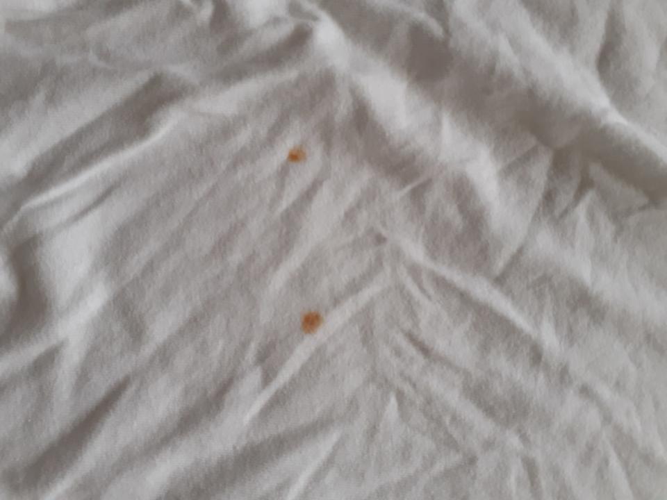 Zimmer Ferienwohnungen Ferienpark Weissenhäuser Strand