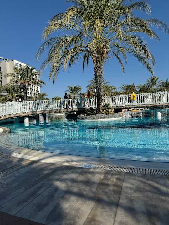 Pool Royal Wings Hotel