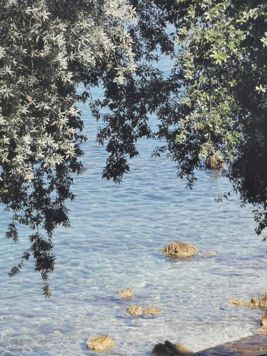 Strand Maistra Select Funtana All Inclusive Resort