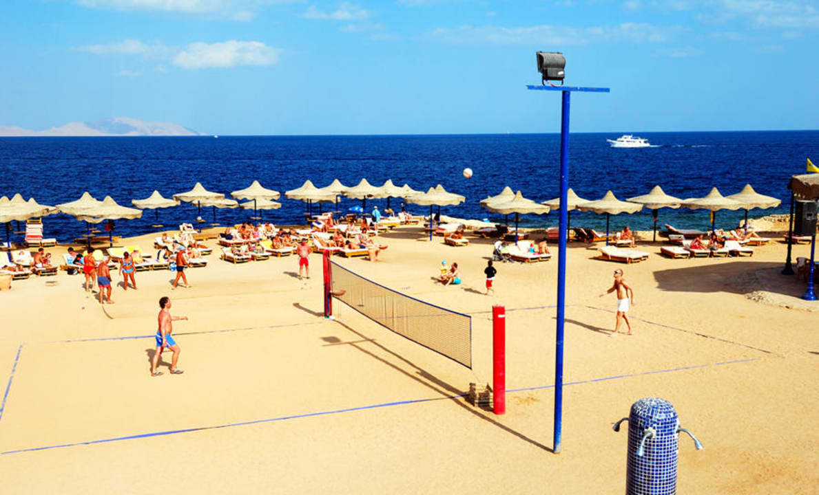 Beach Activity Amphoras Blu