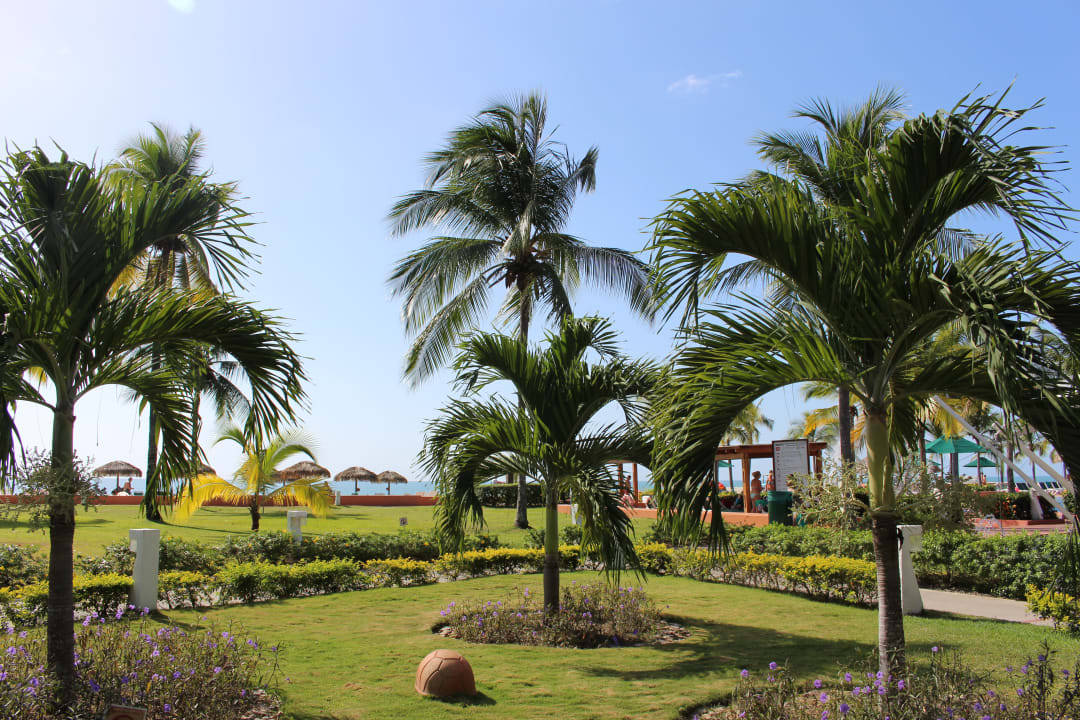 Gartenanlage Grand Decameron Panama, A Trademark All Inclusive Resort