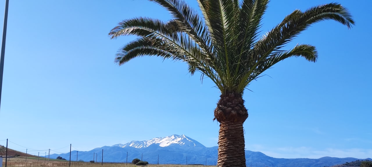 Außenansicht Iberostar Selection Creta Marine