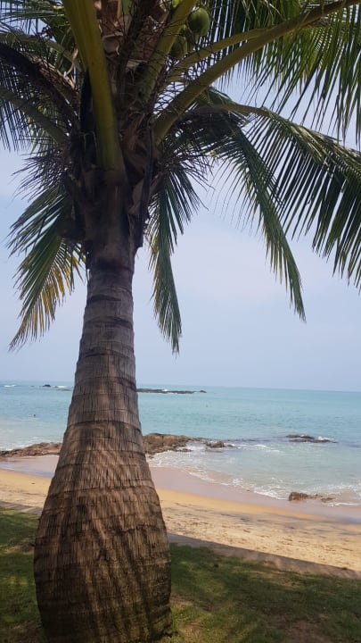 Strand The Sands Khao Lak by Katathani
