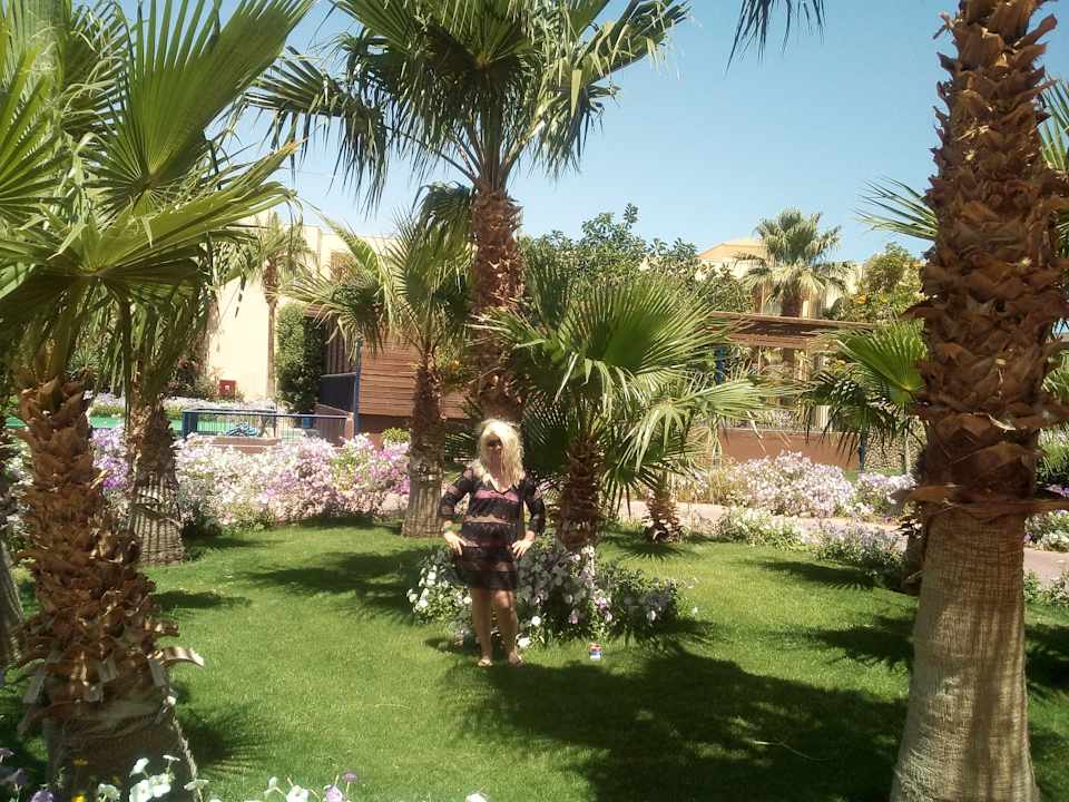 Gartenanlage Desert Rose