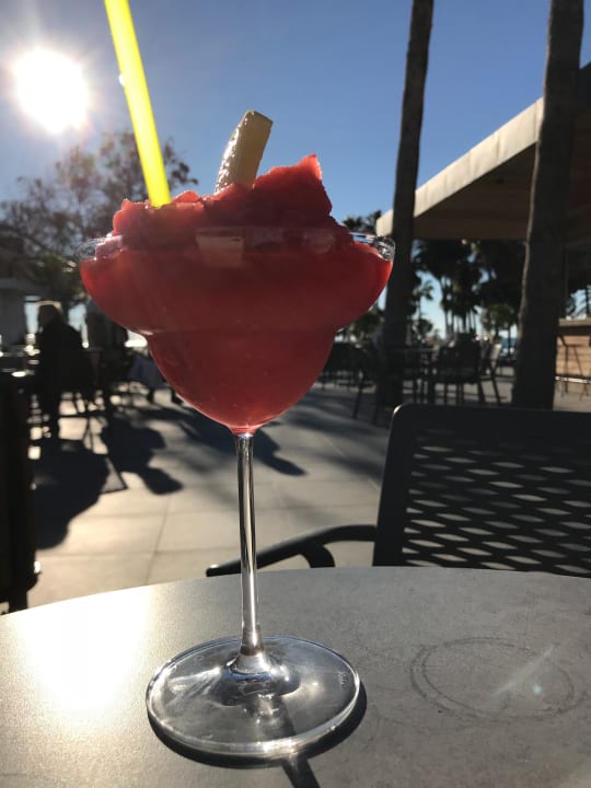 Ohne Worte Acanthus Cennet Barut Collection