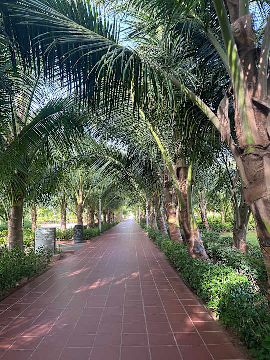 Gartenanlage Hotel Riu Baobab - All Inclusive