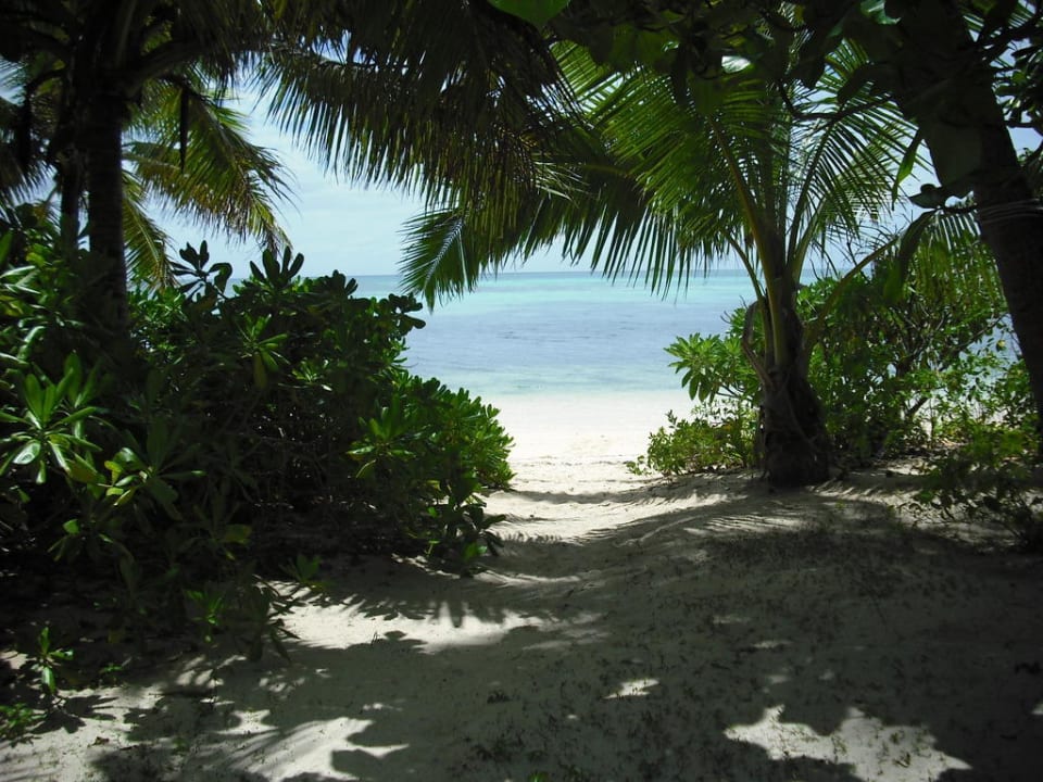 Blick auf den Ozean von unserer Terrasse Hotel Fafa Island Resort